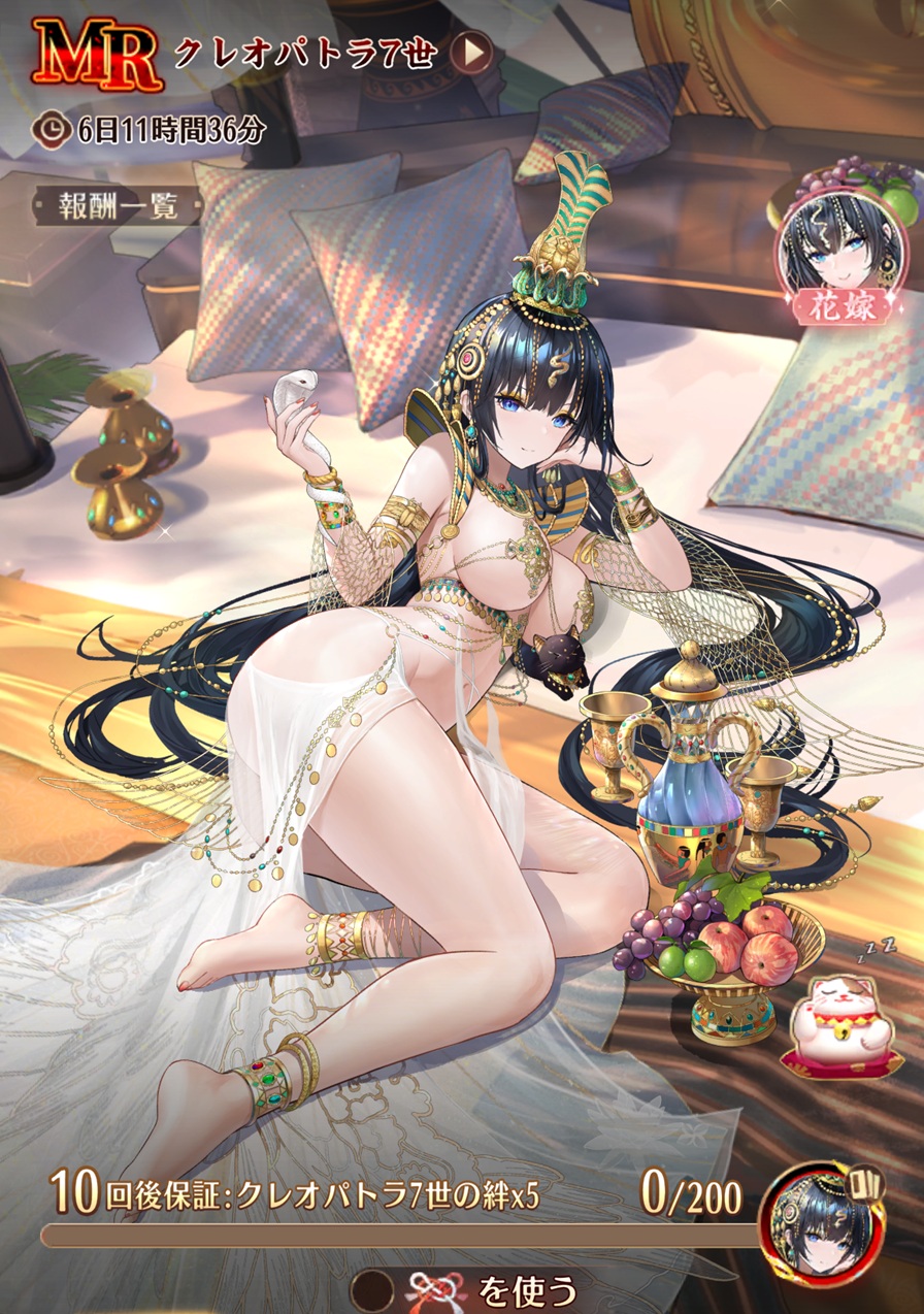 美艷の睡蓮1.jpg